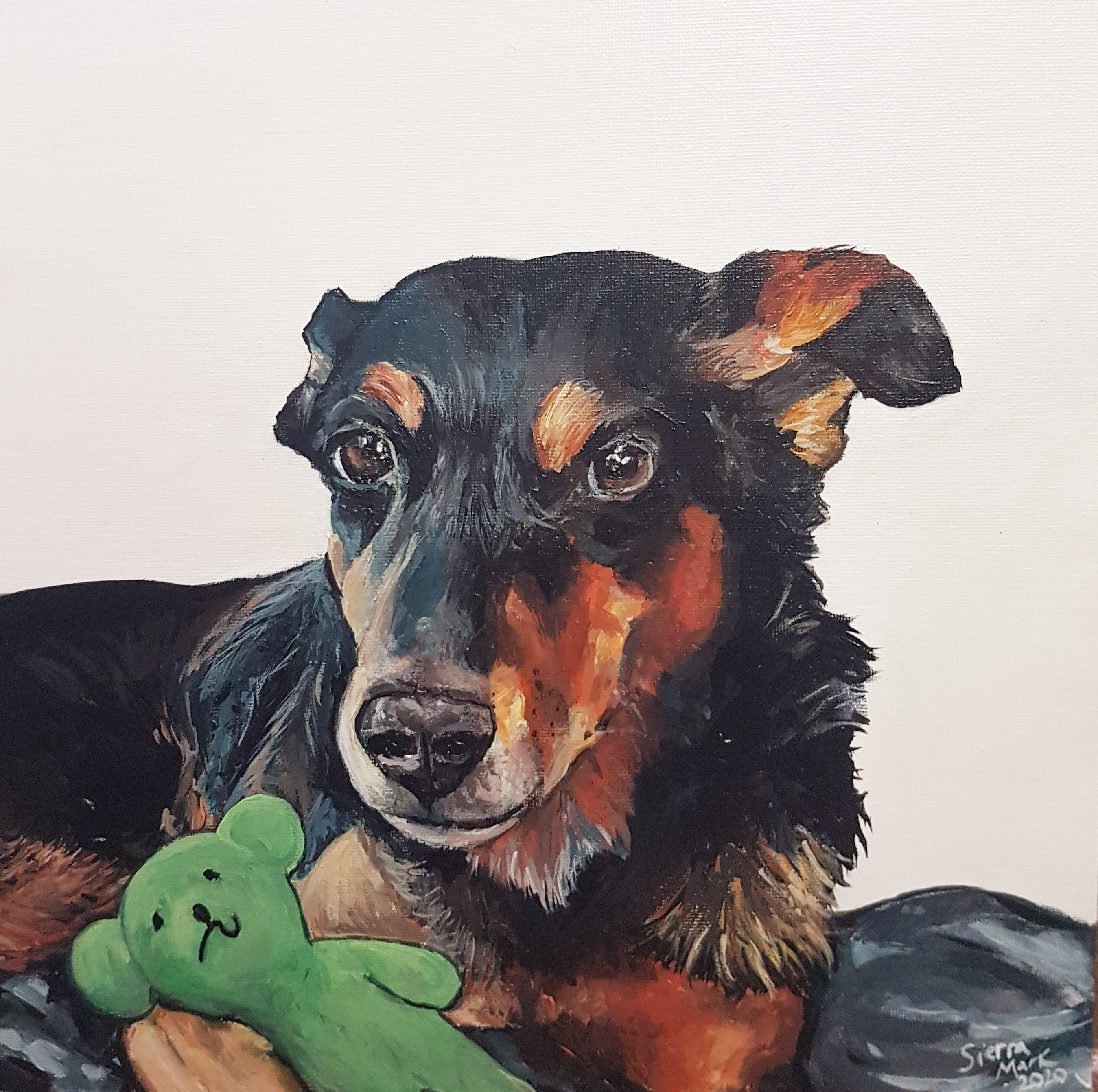 Labrador Portrait