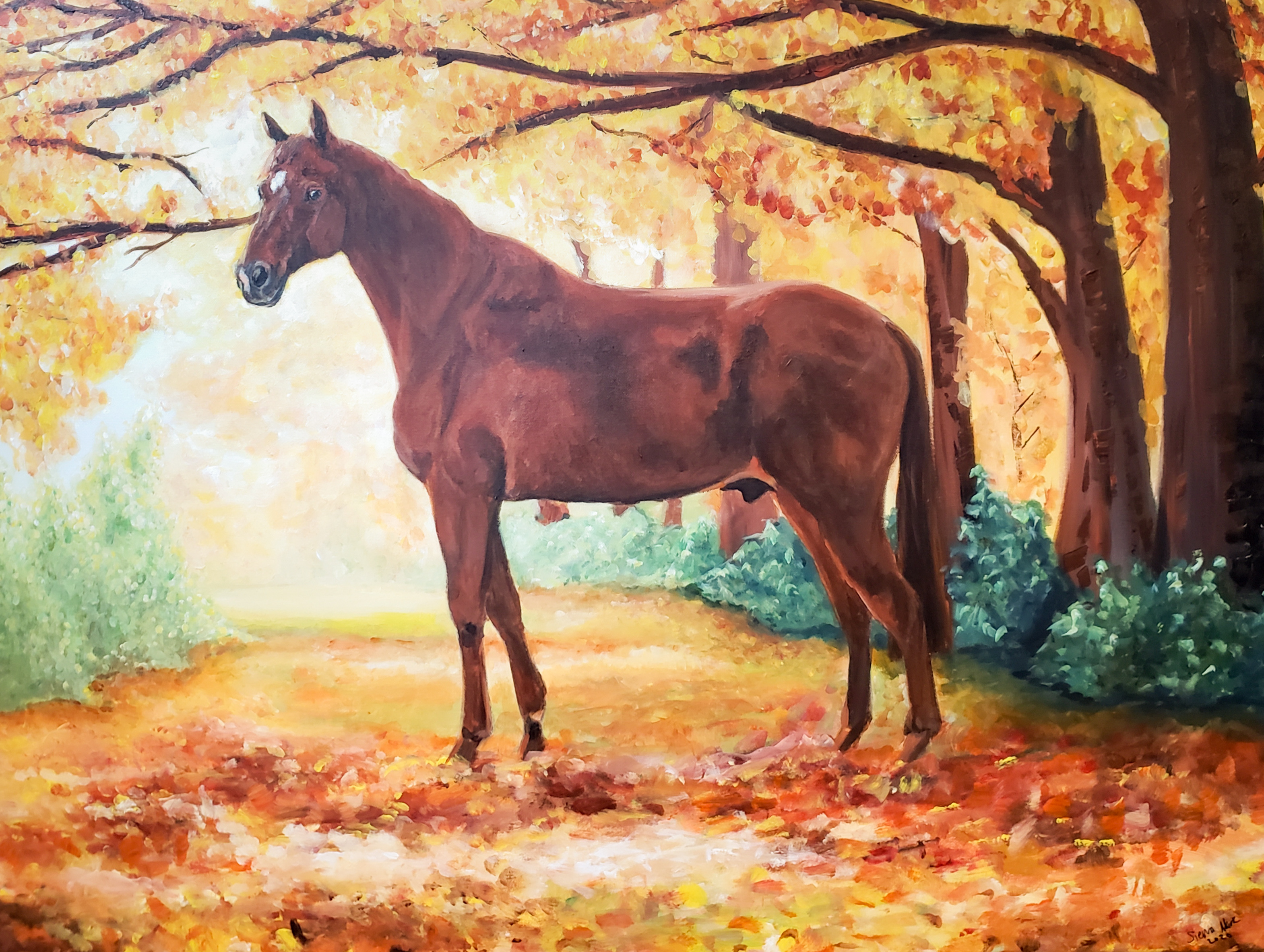 Majestic Stallion