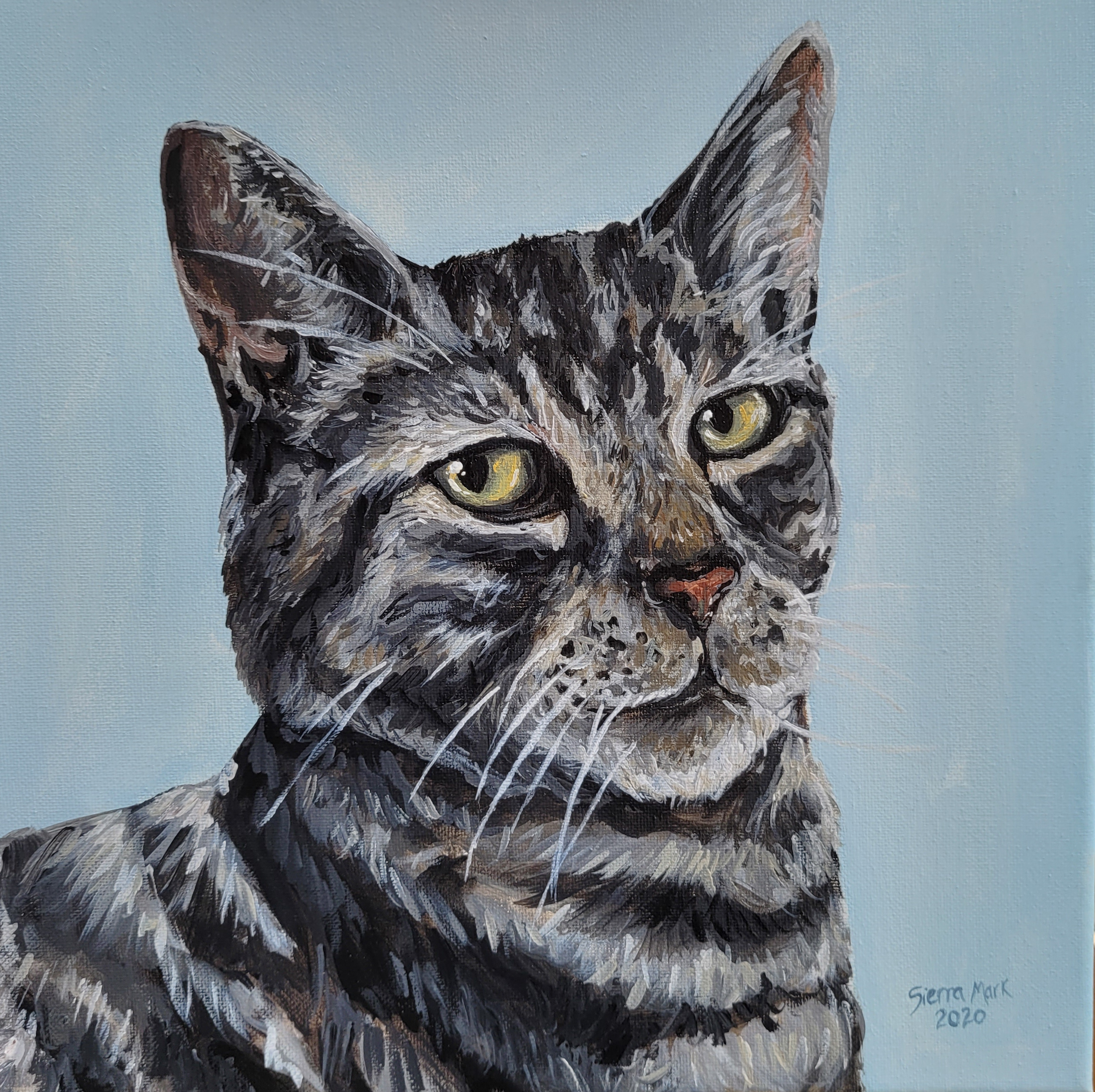 Wildlife Portrait