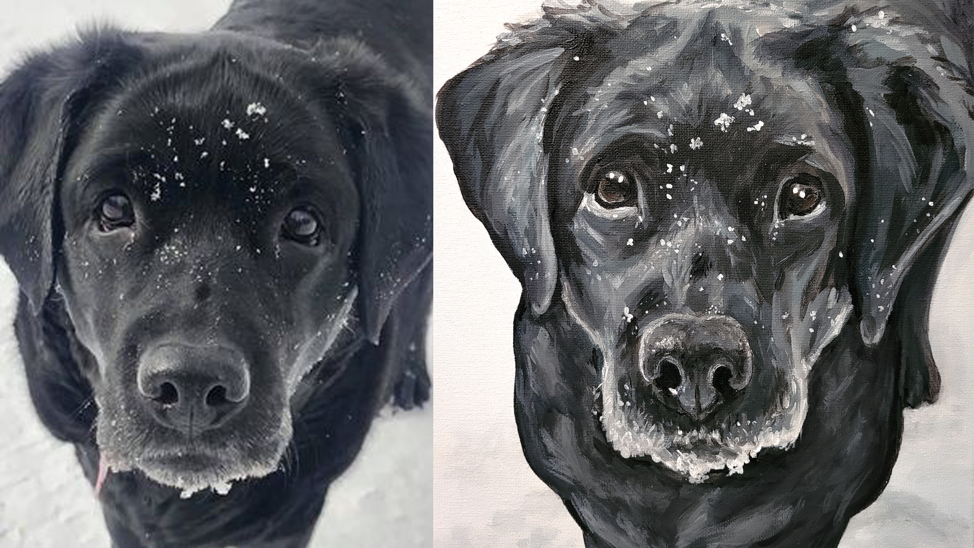 Commissioned pet portrait example
