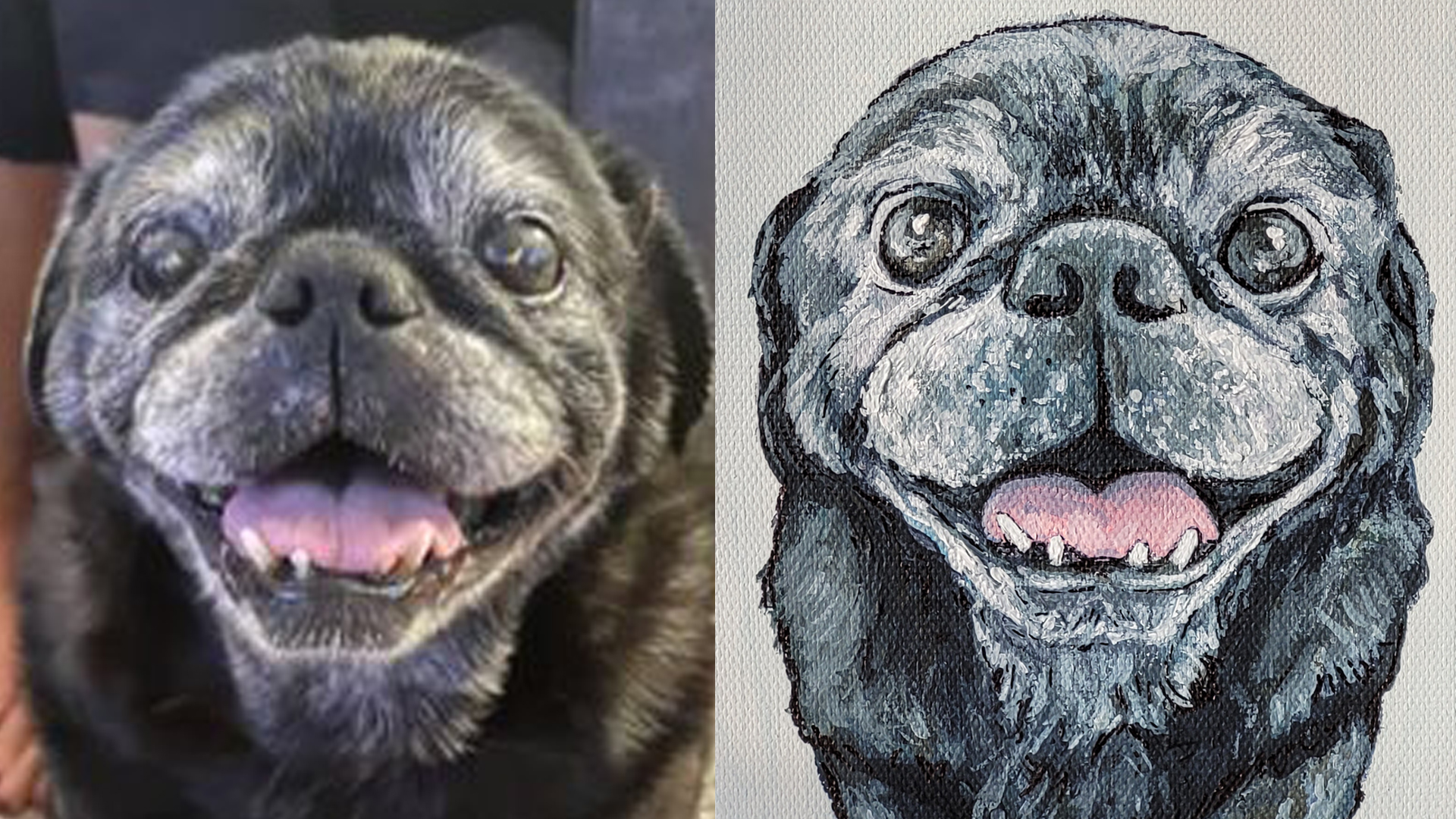 Commissioned pet portrait example